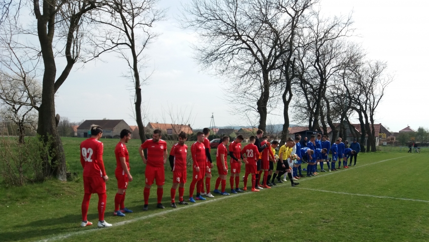 ZBICI JAK PSY W OSIEKU