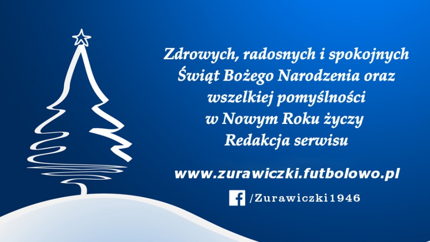 Wesołych Świąt Bożego Narodzenia !