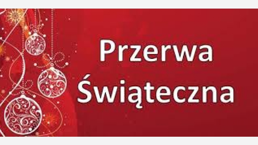 Przerwa świąteczna 3-5 latki Lider "KIDS"