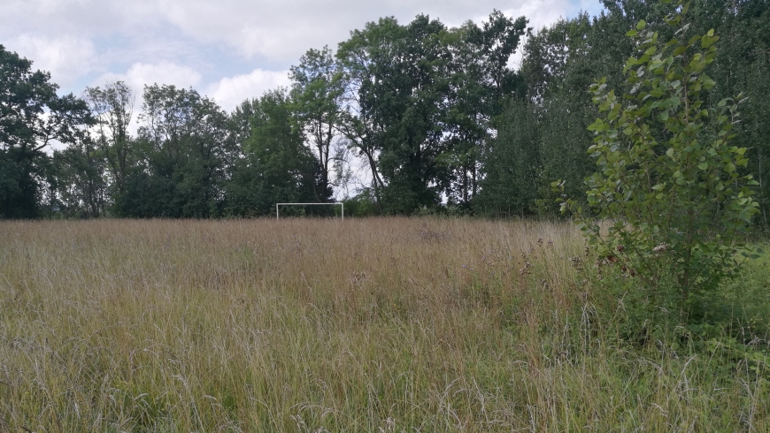 Był taki klub - Jegrznia Rajgród. Dziś zostało po nich pastwisko