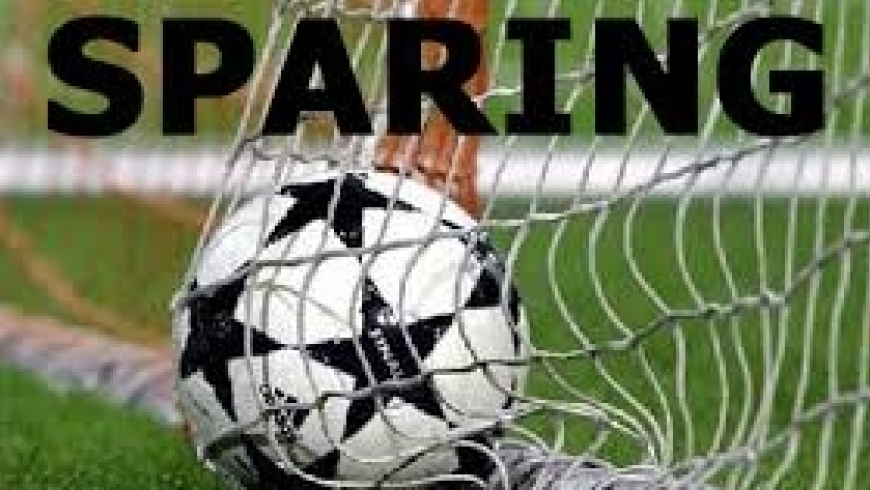 SPARING Z PELIKAN SZUBIN